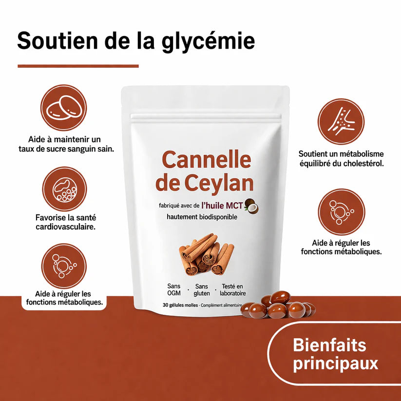 Capsules de Cannelle de Ceylan